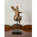 Driftwood on a stand